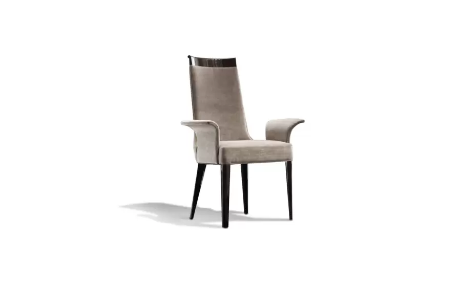 Coilisuem Arm Chair