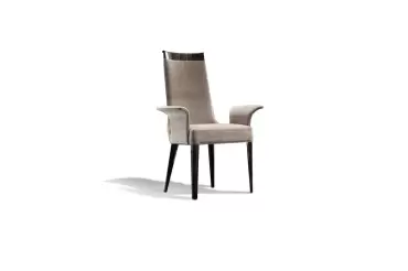 Coilisuem Side Chair